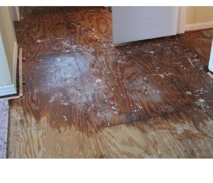 Water Damage Removal 
